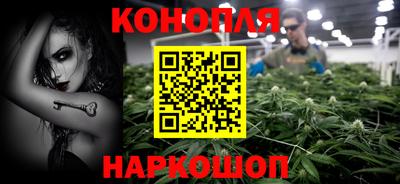 Альфа ПВП Краснознаменск