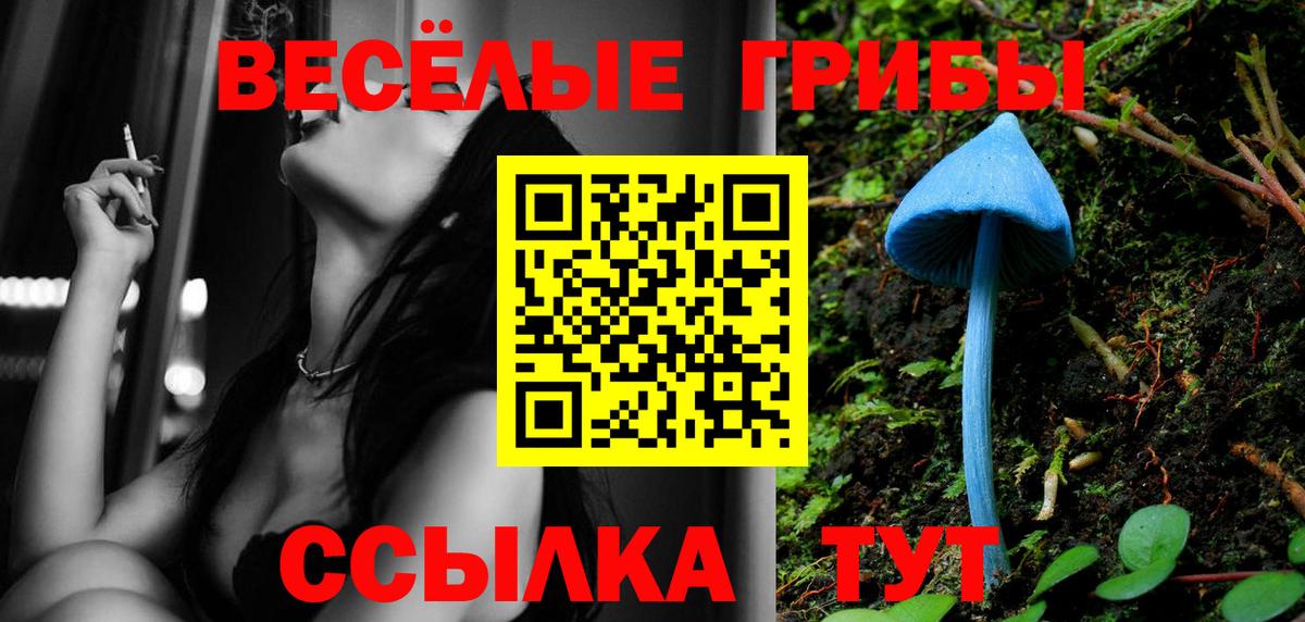 Керчь  Псилоцибиновые грибы MAGIC MUSHROOMS  купить   Псилоцибиновые грибы Psilocybe  Вход с VPN 